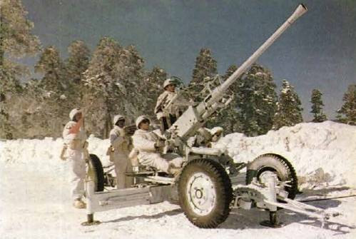 Trong kho niêm cất của Thổ còn có 600 khẩu pháo phòng không Bofors L60/ L70 cỡ nòng 40 mm; đây là những vũ khí phòng không tốt nhất trong Thế chiến 2 và vẫn có thể sử dụng khi cần thiết.