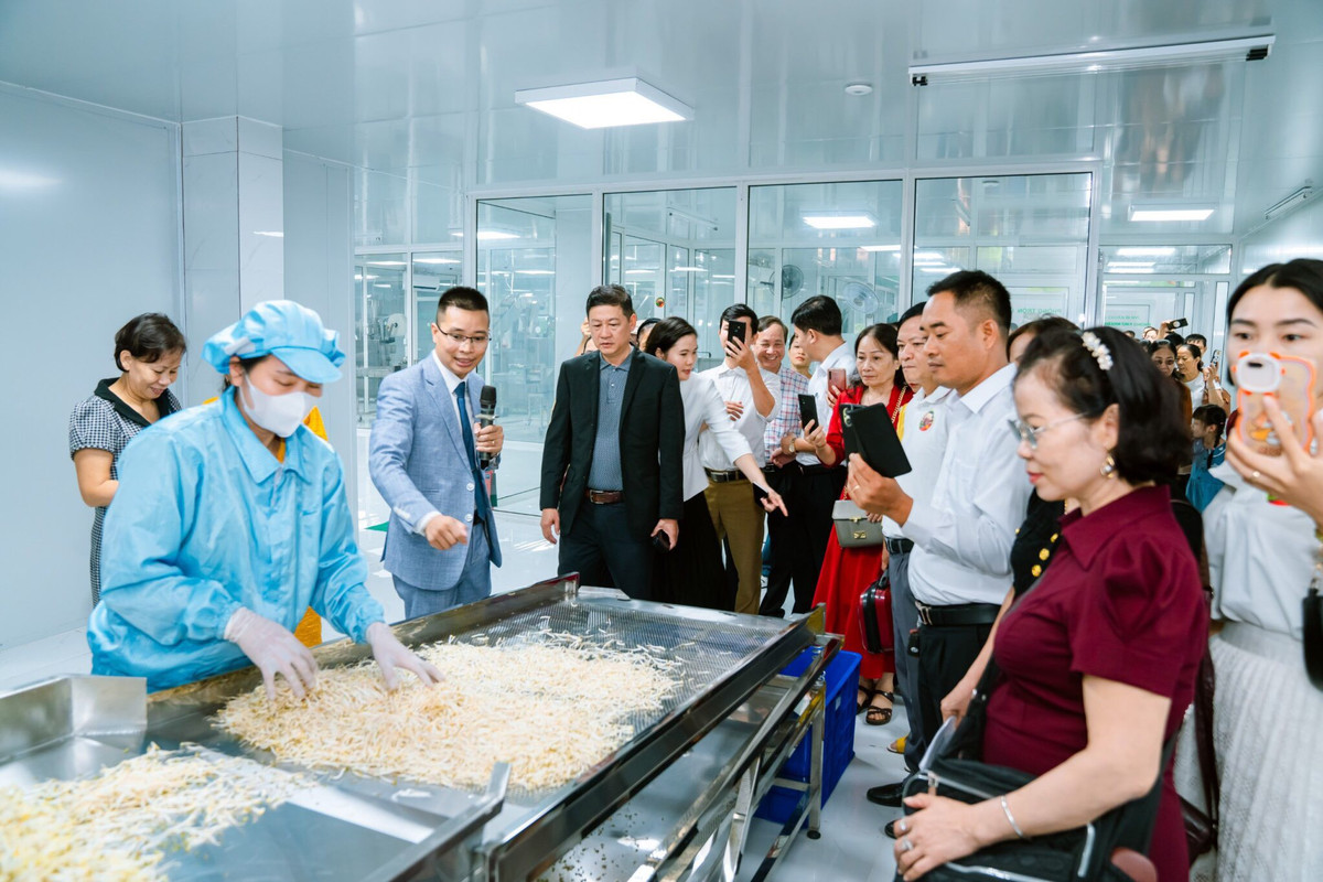 Tien si, Nha khoa hoc, Doanh nhan Do Ngoc Chung: Chat luong san pham quan trong hon danh tieng