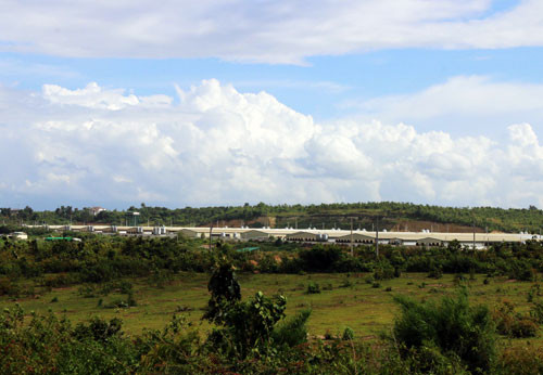 Trung tâm Heo giống cụ kỵ của Green Farm tại Cư Jut. Ảnh: D.H