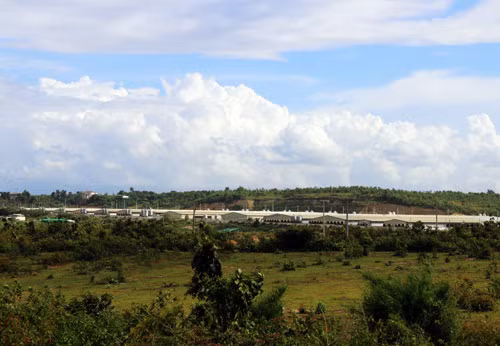 Trung tâm Heo giống cụ kỵ của Green Farm tại Cư Jut. Ảnh: D.H