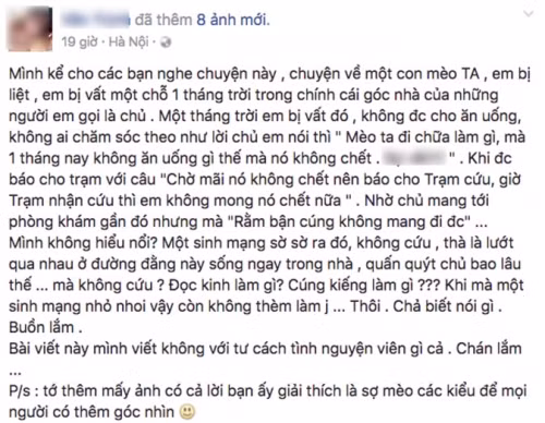 Bo doi meo liet 1 thang con than nhien mong no chet