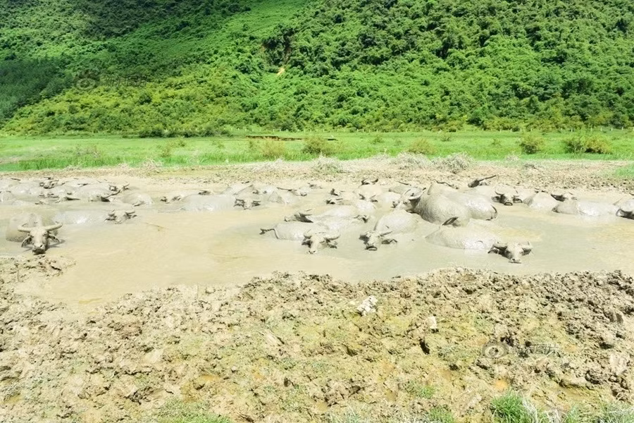 Mặc dù không gian hạn chế nhưng trong thời tiết nắng nóng như thiêu như đốt thì đây quả là một loại hình hưởng thụ dễ chịu. (Nguồn Sina)