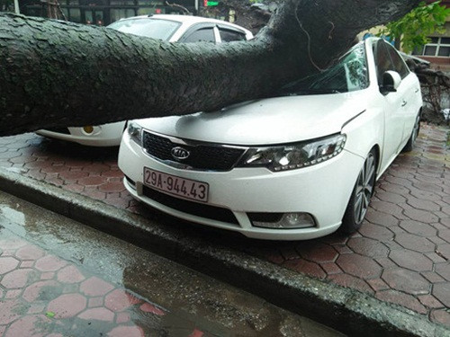 Bão số 3 tác động mạnh hơn tới Hà Nội, địa phương nằm sâu trong nội địa