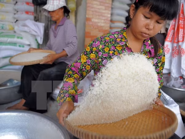 Gạo lứt và gạo huyết rồng cung cấp năng lượng nhiều hơn. Quá trình xay xát gạo trắng sẽ làm cho lớp tinh bột cơ bản bị mất đi và lớp tinh bột còn lại nhanh chóng chuyển hóa thành đường.