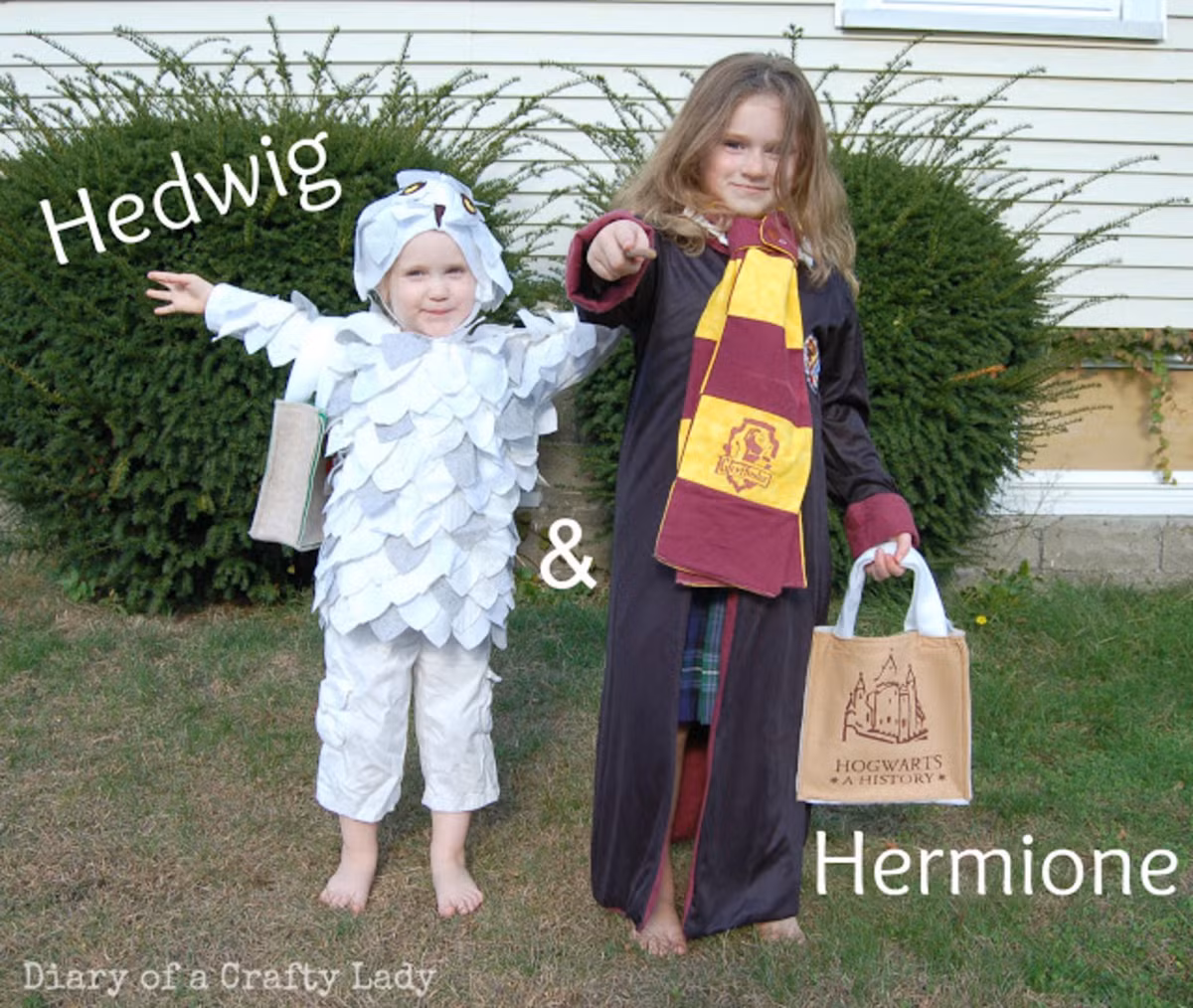 Có ai nhận ra đây là Hedwig và Hermione trong bộ truyện "Harry Potter" nổi tiếng không?