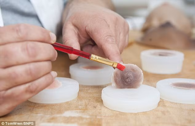 Những bộ vú giả này được làm từ silicon mềm để tạo cảm giác sống động y như thật. Từng bệnh nhân sẽ được thiết kế vú giả riêng, màu sắc đồng nhất với màu da của họ vô cùng tự nhiên.