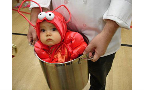 Đây chắc chắn là con cua đỏ đáng yêu nhất thế gian.