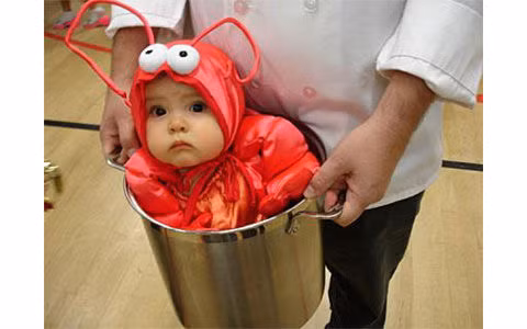 Đây chắc chắn là con cua đỏ đáng yêu nhất thế gian.