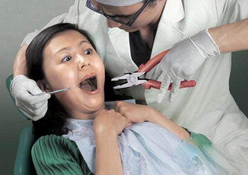 Răng khôn. Tương tự loài khỉ, con người cũng sẽ mọc răng khôn khi trưởng thành. 