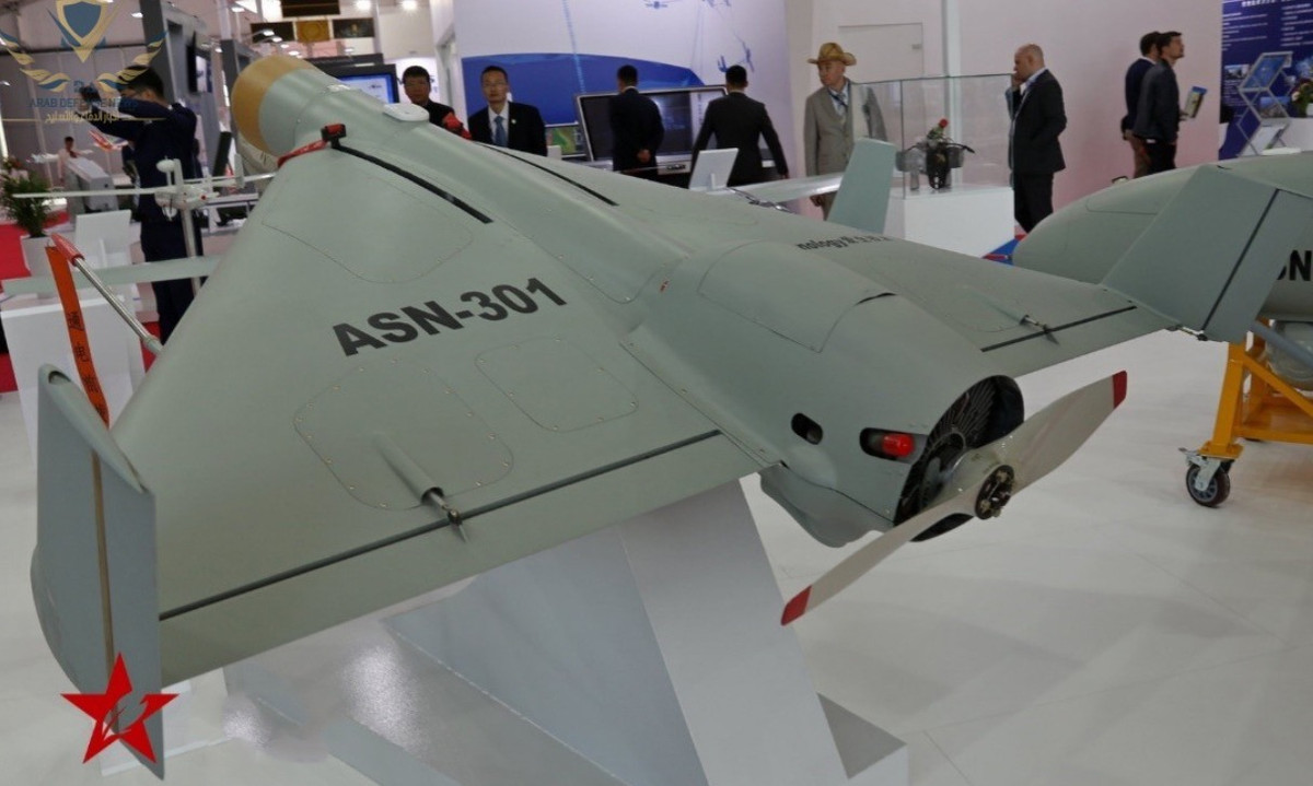 Mặc dù có những điểm tương đồng với Harpy nhưng ASN-301 lại có những thông số kỹ thuật khác biệt. Với trọng lượng 135 kg, nó nhỏ gọn hơn một chút với chiều dài 2,5 mét so với 2,7 mét của Harpy.