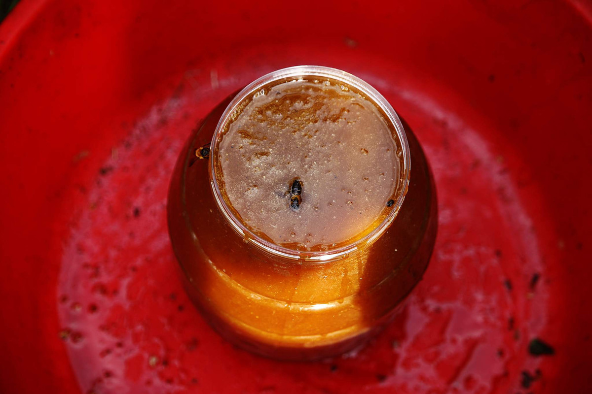 Mật ong rừng Himalaya có hương vị độc đáo, phong phú và đậm đà, khác biệt so với mật ong từ các vùng khác. Hương vị này là kết quả của việc ong hút mật từ các loài hoa dại trong khu vực. Mật ong rừng Himalaya thường có màu sẫm và độ đậm đặc cao, do ong thu hoạch từ những loài hoa giàu mật trong môi trường tự nhiên khắc nghiệt.