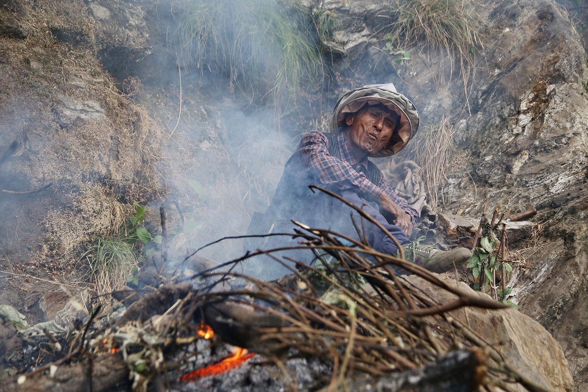 Khi đã tiếp cận tổ ong, họ đốt lửa bên dưới để tạo khói, giúp xua đuổi các loài côn trùng gây đốt và làm dịu bớt những con ong hung dữ. Khói cũng giúp làm giảm nguy cơ bị ong đốt.