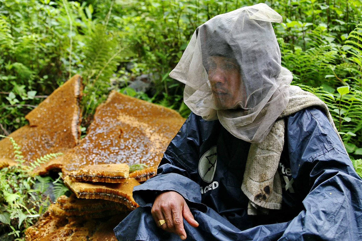 Một số loại mật ong từ Himalaya, đặc biệt là mật ong đỏ, chứa một lượng nhỏ độc tố tự nhiên từ loài cây Rhododendron. Khi tiêu thụ, nó có thể gây ra hiện tượng ảo giác và một số tác động tâm lý khác. Loại mật ong này thường được gọi là "mật ong điên" (mad honey).