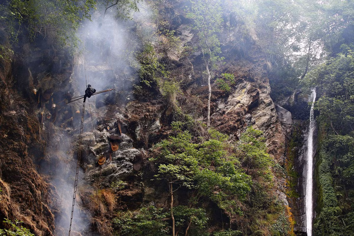 Hanh trinh mao hiem mang song san mat ong rung tren vach da