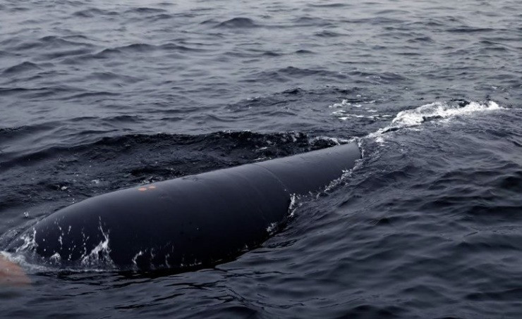 “Xét đến trình độ khoa học quốc phòng của Triều Tiên và thực tế là loại vũ khí này vẫn đang trong giai đoạn phát triển, nó chưa đến giai đoạn gây ra mối đe dọa đáng kể”, Ahn Chan-il, nhà nghiên cứu tại Viện Nghiên cứu Thế giới cho biết.