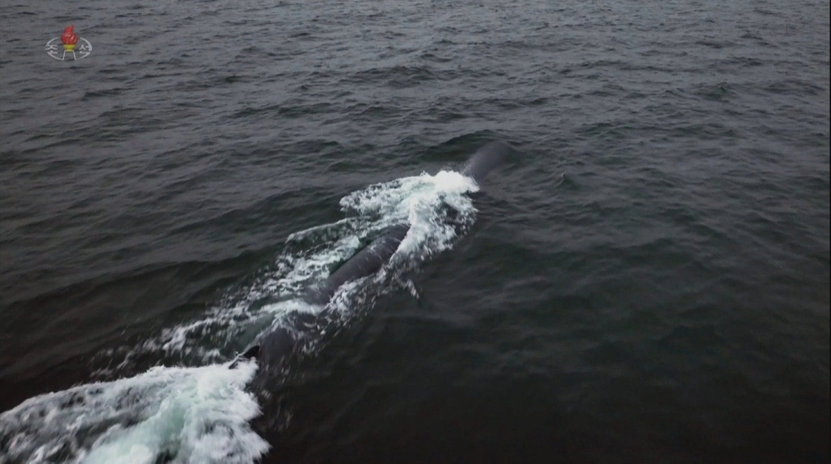 Triều Tiên cho biết vào tháng 3/2023 rằng, họ đã thử nghiệm Haeil-5-23 trong vài ngày trước khi cho nổ đầu đạn thử nghiệm. Truyền thông nhà nước đưa tin, Haeil-5-23 được thiết kế để thực hiện các cuộc tấn công lén lút trong vùng biển của đối phương.