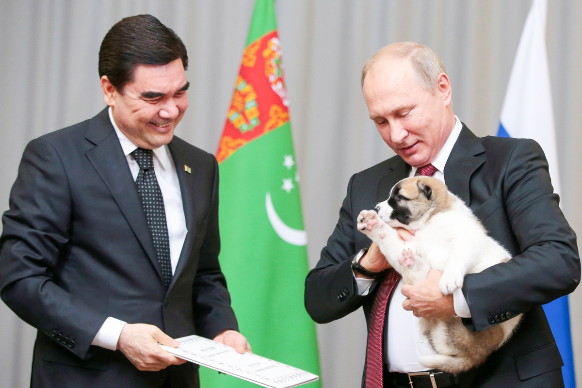 Năm 2017, trước khi bắt đầu hội nghị thượng đỉnh Cộng đồng các quốc gia độc lập (CIS) ở Sochi, nhà lãnh đạo Turkmenistan, Gurbanguly Berdimuhamedov, đã tặng Tổng thống Vladimir Putin một chú chó giống Alabai có biệt danh là “Verny” nhân dịp sinh nhật. Ảnh: Mikhail Metsel/TASS 