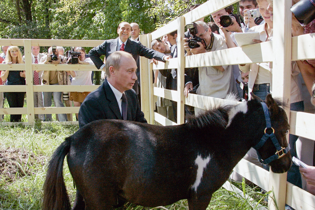Tại lễ khai mạc Khu liên hợp thể thao cưỡi ngựa quốc tế ở Kazan năm 2005, người đứng đầu Nizhnekamsk, Ilsur Metshin, đã tặng ông Vladimir Putin một chú ngựa con tên là Chip. Ảnh: Vladimir Rodionov/TASS 