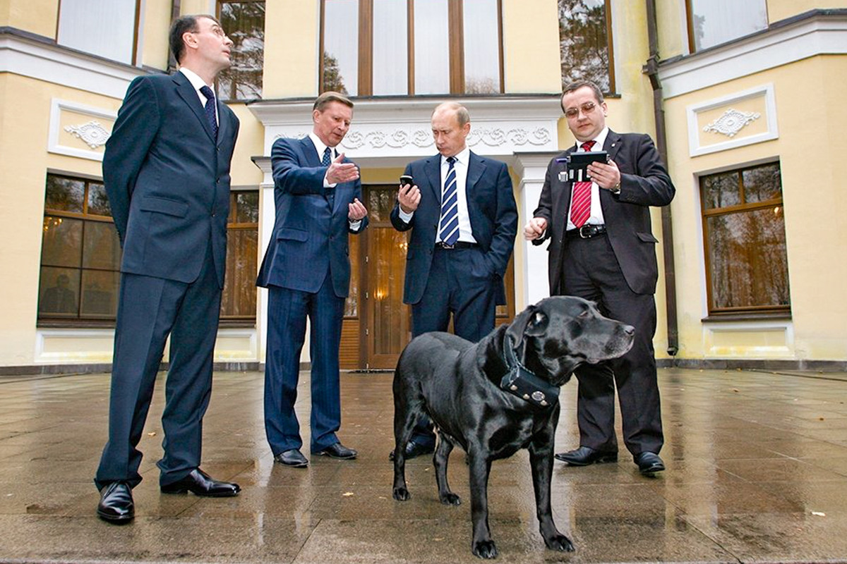 Chú chó Labrador màu đen “Koni” là quà tặng của ông Sergei Shoigu - Bộ trưởng Tình huống Khẩn cấp Nga vào năm 2000. Koni thường xuyên xuất hiện cùng nhà lãnh đạo Nga khi tiếp đón các phái đoàn nước ngoài. Ảnh: Aleksei Druzinhin/RIA Novosti 