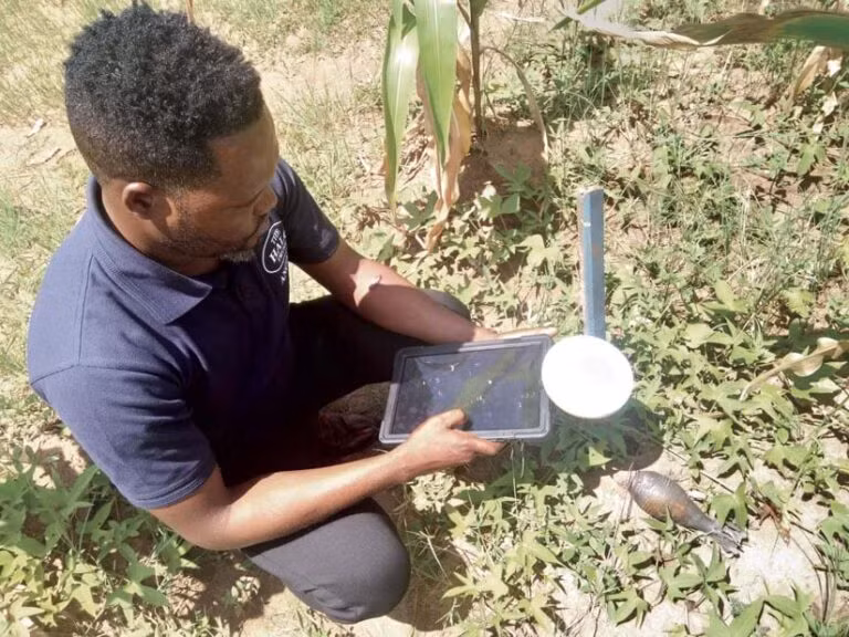 Các dữ liệu cho thấy, hầu hết các vụ tai nạn mìn đều xảy ra với dân thường. Công nghệ mới của HALO sẽ giúp nhanh chóng xác định hoạt động của con người và những khu vực bị hư hại, giúp tìm những khu vực an toàn hơn để người dân di chuyển và định cư. Một nhà phân tích thông thường mất hai ngày để xem xét hình ảnh UAV trên vài hecta, trong khi mô hình này của HALO có thể hoàn thành việc này trong khoảng một giờ. (Ảnh: HALO Trust).