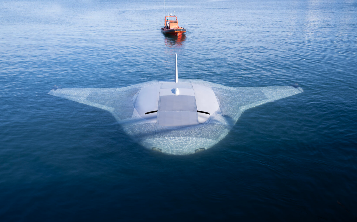 Nguyên mẫu đầu tiên của UUV Manta Ray đã được chế tạo thành công vào mùa thu năm 2023. Vài tháng trước đây, Northgrop Grumman đã lần đầu tiên trình làng phương tiện đầy hứa hẹn này, đồng thời hé lộ một số tính năng kỹ thuật của nó. UUV Manta Ray được Northgrop Grumman phát triển từ năm 2020 trong khuôn khổ chương trình của DARPA. Cuối năm 2021, Northrop Grumman đã giành được hợp đồng trị giá 41,2 triệu USD để sản xuất và thử nghiệm phiên bản đầu tiên của UUV trong giai đoạn tiếp theo của dự án.