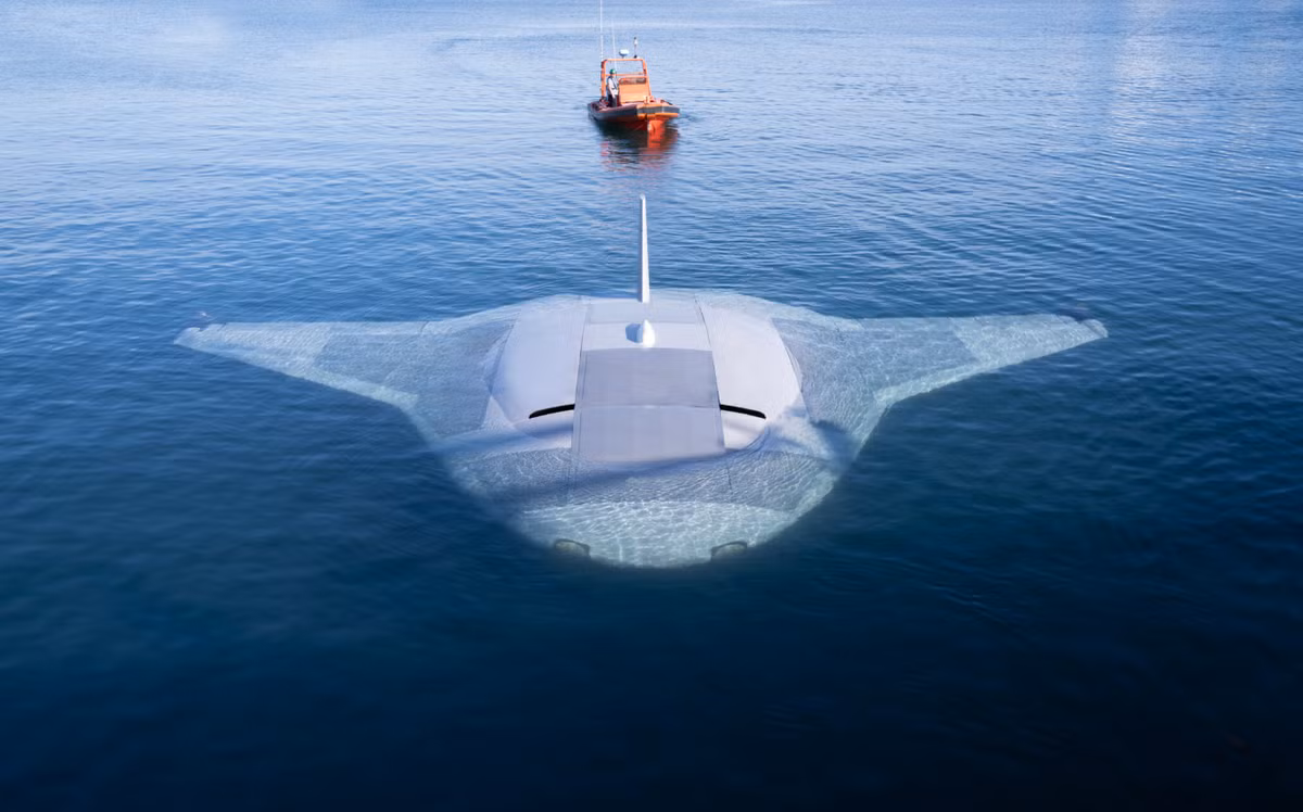 Nguyên mẫu đầu tiên của UUV Manta Ray đã được chế tạo thành công vào mùa thu năm 2023. Vài tháng trước đây, Northgrop Grumman đã lần đầu tiên trình làng phương tiện đầy hứa hẹn này, đồng thời hé lộ một số tính năng kỹ thuật của nó. UUV Manta Ray được Northgrop Grumman phát triển từ năm 2020 trong khuôn khổ chương trình của DARPA. Cuối năm 2021, Northrop Grumman đã giành được hợp đồng trị giá 41,2 triệu USD để sản xuất và thử nghiệm phiên bản đầu tiên của UUV trong giai đoạn tiếp theo của dự án.