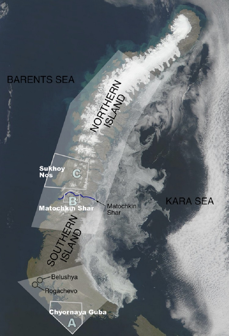 Các nhà phân tích Mỹ nhận định rằng hành động của Nga phản ánh hoạt động tương tự tại các bãi thử hạt nhân của Mỹ và Trung Quốc, gây lo ngại về việc cả ba quốc gia này có thể đang hiện đại hóa cơ sở hạ tầng cho các cuộc thử nghiệm trong tương lai. Một số cựu quan chức tình báo cho rằng điều này có thể ám chỉ sự sẵn sàng của Nga cho các thử nghiệm hạt nhân nếu tình hình địa chính trị tiếp tục xấu đi.