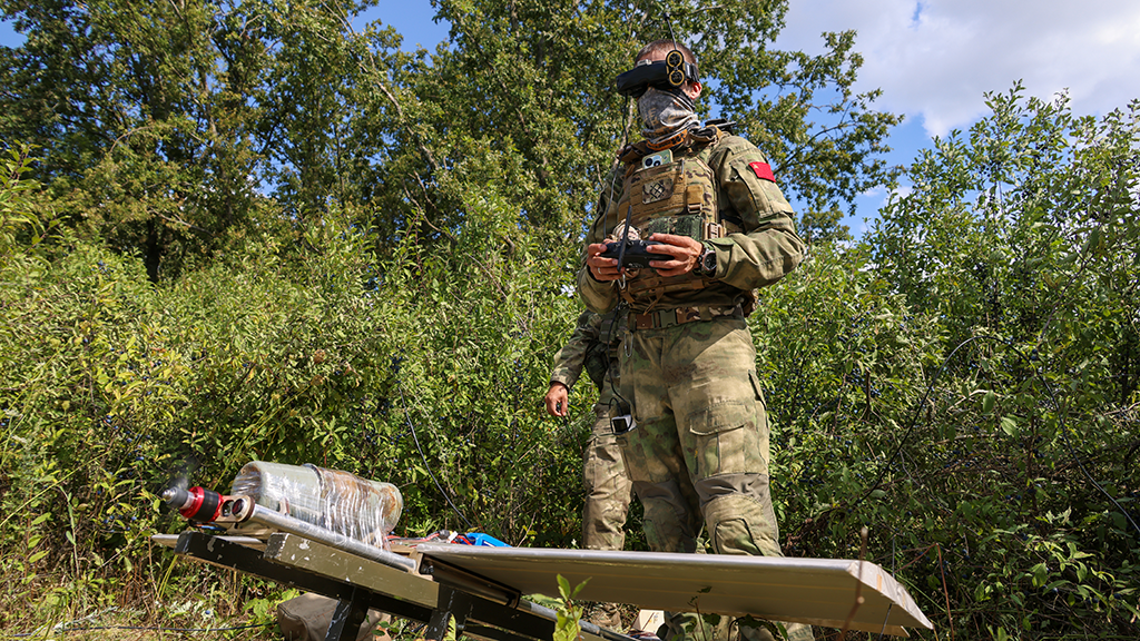 Chuyên gia quân sự Konstantin Sivkov nhận định rằng việc thành lập các nhóm quân mới sẽ không ảnh hưởng đến tình hình tổng thể của chiến dịch quân sự đặc biệt tại Donbass. Các nhóm quân mới sẽ bao gồm các đại diện từ Lực lượng Vũ trang, các cơ quan an ninh, Vệ binh Quốc gia và Bộ Nội vụ, chịu trách nhiệm đẩy lùi các cuộc tấn công có thể xảy ra từ phía đối phương.