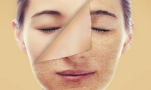 10. Đa số bụi bẩn trong nhà của bạn là da chết trên cơ thể con người.