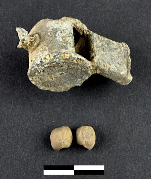 Các chuyên gia đã tiến hành cuộc khai quật này kể từ năm 2017 và phát hiện được nhiều thi hài hé lộ bí mật về trận chiến năm xưa.