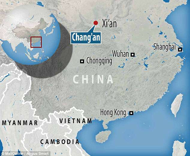 Các chuyên gia đã đặt tên loài vượn trên là Junzi imperialis. Theo kết quả nghiên cứu, vượn Junzi có trán dốc, xương gò má hẹp và lông mày gồ ghề hơn so với các loài vượn khác. Răng hàm của loài vượn này có kích thước bất thường.