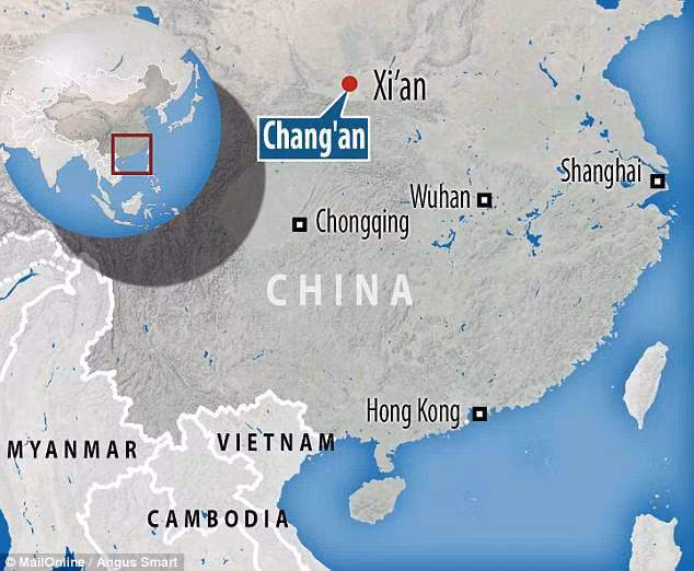 Các chuyên gia đã đặt tên loài vượn trên là Junzi imperialis. Theo kết quả nghiên cứu, vượn Junzi có trán dốc, xương gò má hẹp và lông mày gồ ghề hơn so với các loài vượn khác. Răng hàm của loài vượn này có kích thước bất thường.