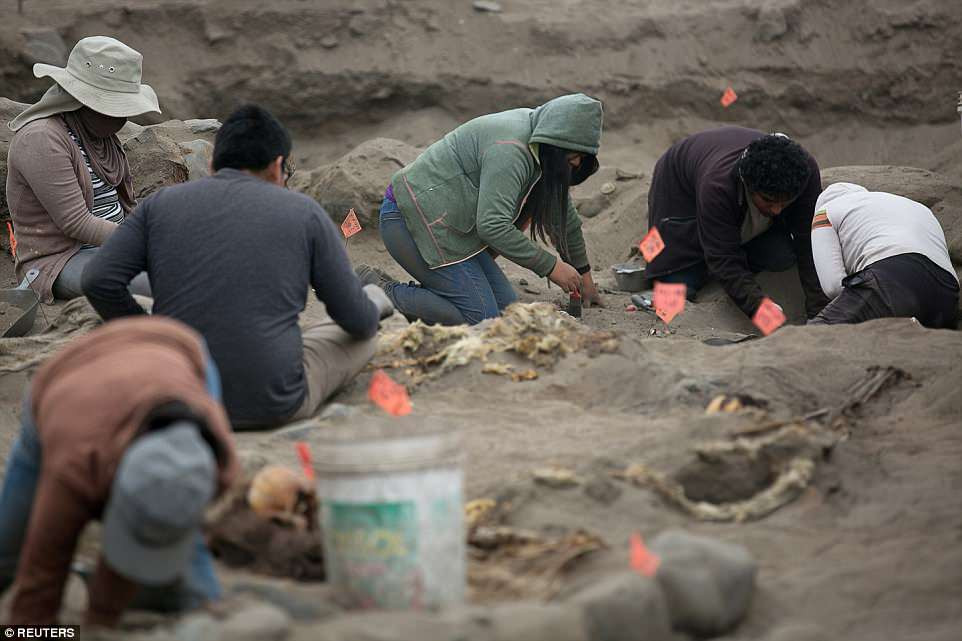 Cụ thể, Tiến sĩ Burmester cho biết không có bằng chứng nào cho thấy những đứa trẻ bị ốm. Chúng có sức khỏe tốt cho thấy những đứa trẻ này xuất thân từ tầng lớp trung lưu hoặc thượng lưu.