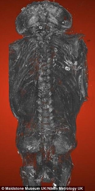 Sự thật chỉ được hé lộ khi Andrew Nelson - nhà khảo cổ sinh vật học và giáo sư ngành nhân chủng học tại Đại học Western Ontario cùng các cộng sự đã thực hiện nghiên cứu xác ướp bằng kỹ thuật chụp cắt lớp vi tính (micro CT scanning) và phát hiện bí mật bất ngờ.