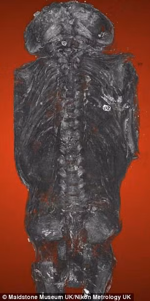 Sự thật chỉ được hé lộ khi Andrew Nelson - nhà khảo cổ sinh vật học và giáo sư ngành nhân chủng học tại Đại học Western Ontario cùng các cộng sự đã thực hiện nghiên cứu xác ướp bằng kỹ thuật chụp cắt lớp vi tính (micro CT scanning) và phát hiện bí mật bất ngờ.