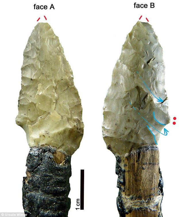 Theo đó, người băng Otzi đã sử dụng tay phải của mình để mài sắc những công cụ như con dao găm, đầu mũi tên...