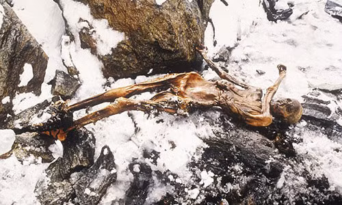 Người băng Otzi có chiều cao khoảng 1,59m. Ông có thể là một thợ săn hay một chiến binh.