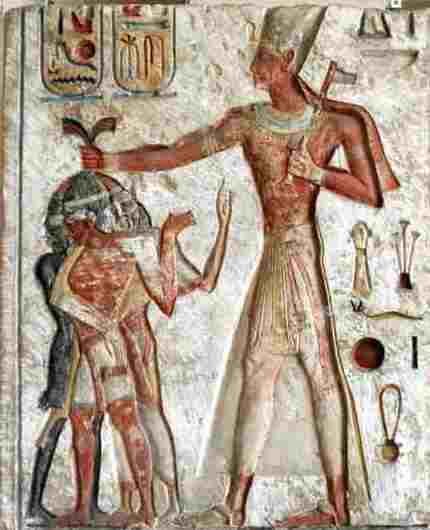 Khi cảnh sát Ai Cập phát hiện tội phạm và thực hiện truy bắt thì những con chó, khỉ sẽ được thả dây xích và xông lên tấn công đối tượng.