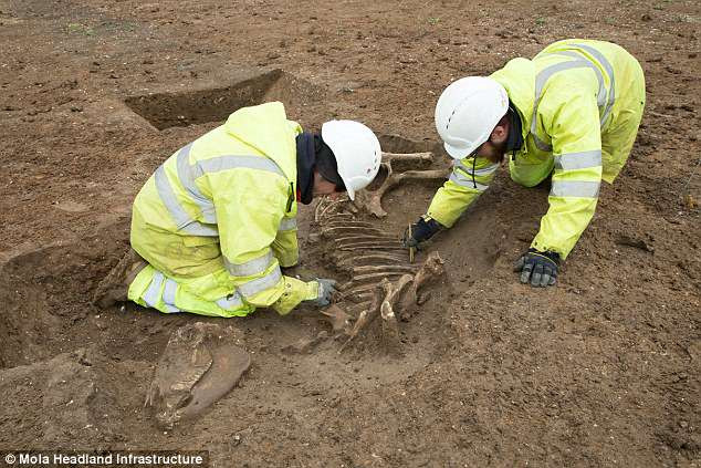 Các chuyên gia tin rằng 3 người đàn ông này đã có thể trải qua sự đau đớn tột độ, có thể là bị tra tấn hay cắt xén cơ thể như một phần của hình phạt rùng rợn.