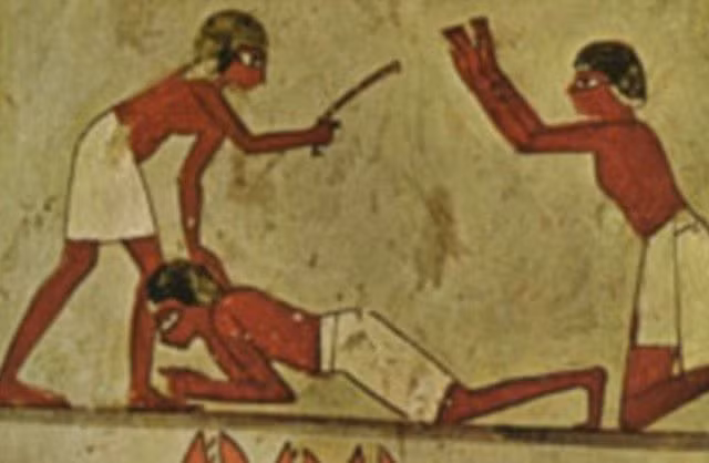 Những con vật này thường cắn vào chân của tội phạm nhằm ngăn chặn đối tượng bỏ trốn.