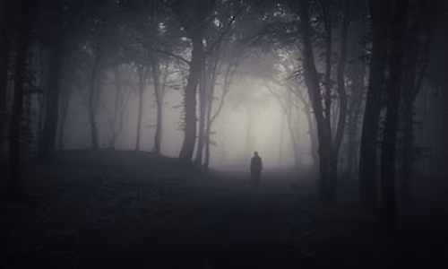 Tuy nhiên, tất cả chỉ là giả thuyết. Cho đến nay những vụ mất tích bí ẩn này vẫn chưa được làm sáng tỏ, khiến giới chức trách "đau đầu" để tìm ra lời giải.