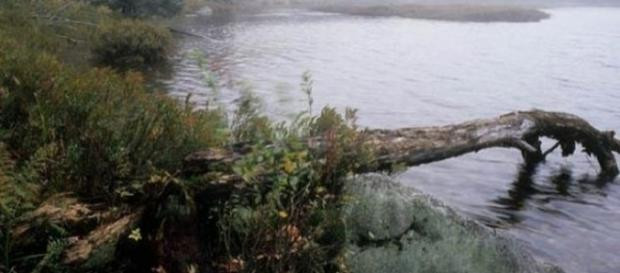 Theo những người thợ săn, ông Rivers là người có kinh nghiệm đi săn bắn, không dễ bị lạc nên được hy vọng sẽ trở về nhà sau một vài hôm. Tuy nhiên, hơn 300 người dân địa phương và quân đội Mỹ tổ chức tìm kiếm trong nhiều ngày nhưng không thấy bất cứ dấu vết nào của ông.