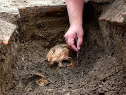 Kết quả nghiên cứu cho thấy bộ xương trên thuộc về một phụ nữ bản địa.