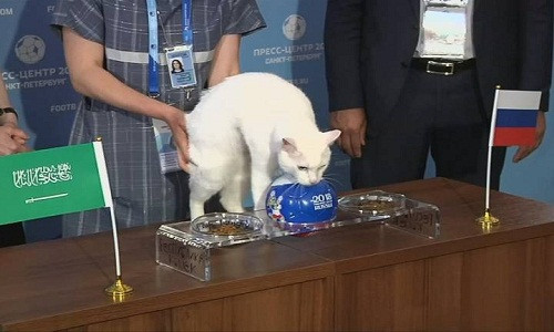 Theo đó, ban tổ chức đặt 2 bát thức ăn trên bàn bên cạnh là lá cờ của Nga và Saudi Arabia.