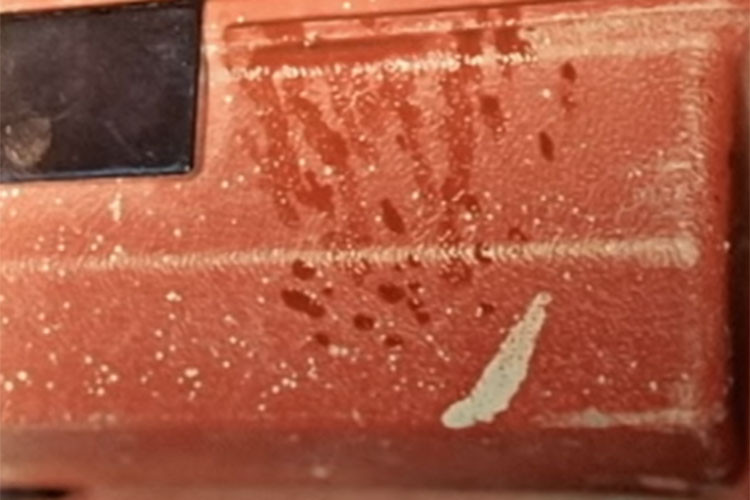 Những vết máu trong xe cho thấy kẻ sát nhân bắn họ trong xe. 4 vỏ đạn từ súng 25 mm nằm gần 2 thi thể.