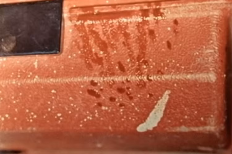 Những vết máu trong xe cho thấy kẻ sát nhân bắn họ trong xe. 4 vỏ đạn từ súng 25 mm nằm gần 2 thi thể.