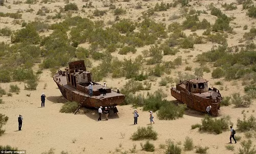 Nguyên nhân xảy ra tình trạng này là do biến đổi khí hậu và hậu quả từ các dự án trồng bông trên diện tích rộng trong suốt nhiều năm.