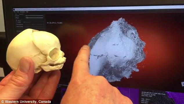 Trong suốt nhiều năm, người ta cứ nghĩ đây là xác ướp một con diều hâu. Nguyên do là vì lớp vỏ bọc ngoài thường được người Ai Cập sử dụng để chứa xác ướp diều hâu dâng lên thần linh.