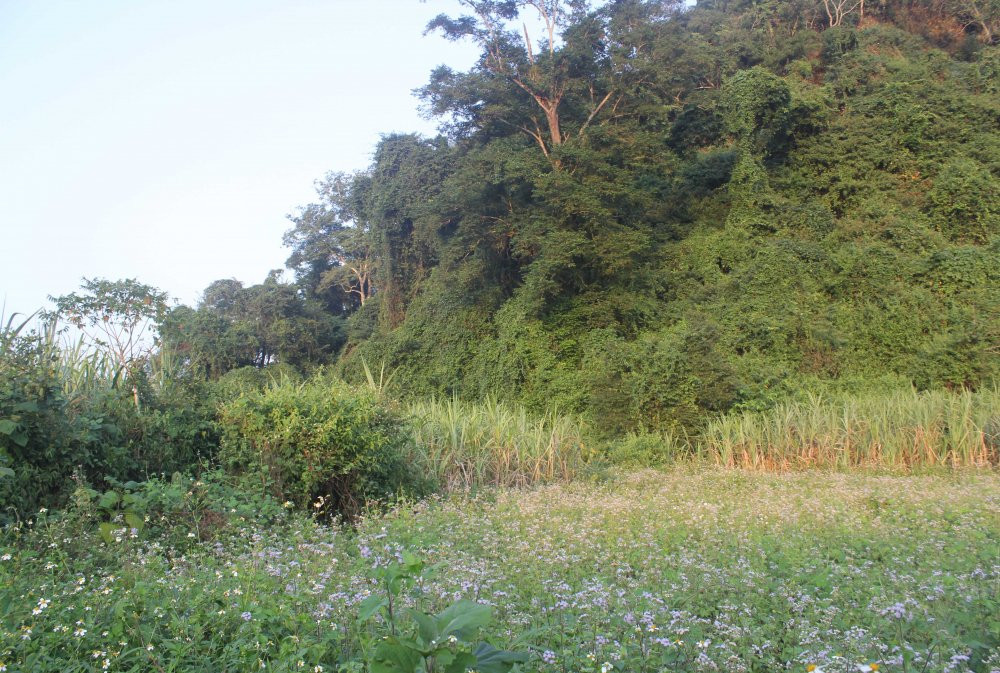 Khe núi - nơi hổ ăn thịt thiếu nữ Son.