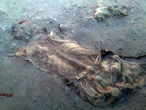 Thêm nữa, thông qua những xác ướp này, các chuyên gia tìm hiểu chế độ ăn uống của họ.